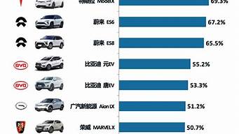 新能源汽车推荐排行榜前十济宁_新能源汽车