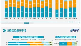 新能源汽车分析_新能源汽车分析报告总结