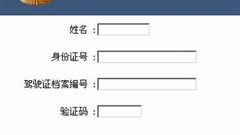 驾驶证查询系统_个人驾驶证信息查询网